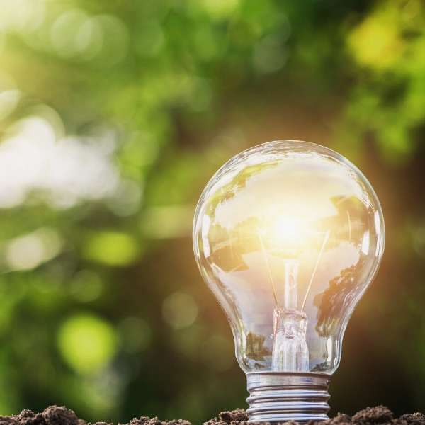 Bright light bulb in earth on green background